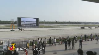 第29回東海クイーンカップ セブンカラーズ