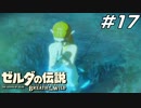 ゼルダの苦悩 ゼルダの伝説 ブレスオブザワイルド マスターモード Part17【ゲーム実況】