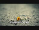 Nobody On The Rainy Road／宮本（TRICKHOUSE）