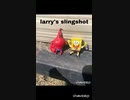 larry slingshot