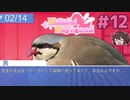 岩峰先生大好きです♡♡【はーとふる彼氏 Hatoful Boyfriend】実況プレイ#12 岩峰舟編