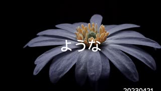 るつぼ