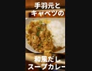 手羽元とキャベツの和風だしスープカレー【#エスプレキッチン】