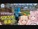 【マイクラ】約10ヶ月ぶりに活動を再開したなぞなぞ仮面
