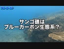 【視聴者リクエスト】ブルーカーボンとサンゴの関係性は？