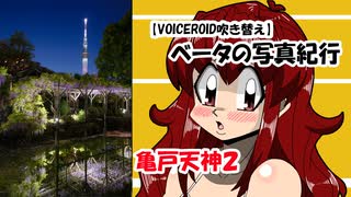 【VOICEROID吹き替え】ベータの写真紀行 亀戸天神リベンジ