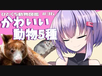 ひとくち動物図鑑　#36　かわいい動物5種　[VOICEROID解説]