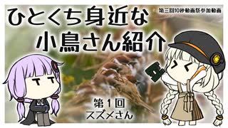 【第三回10秒動画祭】ひとくち身近な小鳥さん紹介【第1回:スズメさん】