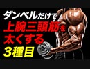 【筋トレ】ダンベルで上腕三頭筋を太くする 3種目 | ボディビルチャンピオンが解説【ビーレジェンド プロテイン】
