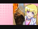 ヒヨリちゃんのハムスターの日常。21