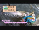 【#ニコニコ自転車動画祭2023春】おねちゃんと暇つぶしSS.04「春のエリアトラウトゆるポタを添えて」