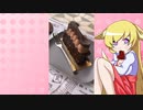 ヒヨリちゃんの沖縄旅行,那覇首里金城町石畳道,チョコレートケーキブライアン