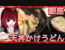 グロかわちゃんの銀座・天丼かけうどん【飯テロ】