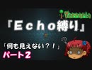 [Terraria]　『Ｅｃｈｏ縛り』パート２　[ゆっくり実況]