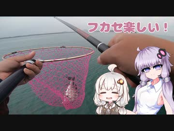 【VOICEROIDフィッシング】フカセ楽しい！【フカセ釣り】