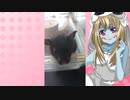 ゾンビーナのハムスターの日常。55