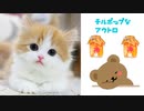 【vocaloid original】【初音ミク】はどうねこfeat.初音ミク／ぃるすぴ〜