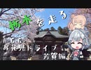 【CeVIO車載】栃木を走る#66　お花見ドライブ 芳賀編