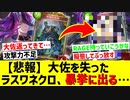 【悲報】大佐亡きラスワネクロ、あいつに頼るしかなくなる…【 Shadowverse シャドウバース 】