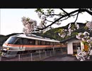 【のら】三重県を走行するキハ85 その 3