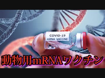 食肉動物用mRNAワクチンは胃や腸から吸収されるのか？