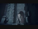 【エルデンリング侵入動画】血指ト背律ノ記録Part29