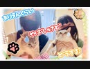 【超踊ってみたオフ2023】ありえんくらいやばいけどどうする？【こはね＆シエル】