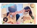 【超踊ってみたオフ2023】ありえんくらいやばいけどどうする？【こはね＆シエル】編集遊んでみたVer.