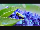 【横浜De】抑え二刀流で！パワプロ2023ペナントしていく[1年目'23年6/12-]