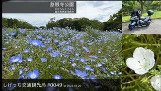 しげっち交通観光局#0049 トリシティ155で行く「慈眼寺公園@鹿児島市」/2023.04.20