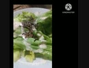 レタスにいそ松葉あうよ足しても足しても数字変わらずレタス違った０＋