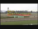 【ウマ娘風】第8回福島牝馬ステークスGⅢ(2011)【フミノイマージン】【太宰啓介】