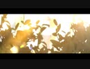 新時代【Selunéa】
