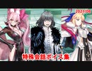 Fate/Grand Order マイルーム特殊会話ボイス集（No.314～No.316＋α）