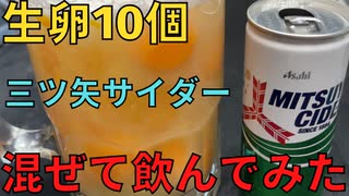 【完全栄養】　冷凍 日清中華 ビャンビャン麺と生卵10個に三ツ矢サイダー混ぜて乾杯する弱者男性467日目