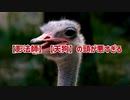 【影法師】【天狗】の頭が悪すぎる【シノビガミ】