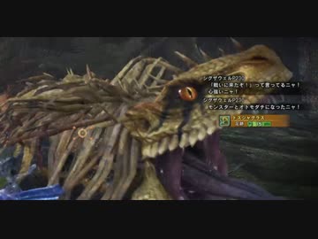 【MHWIB】我が乱舞厨人生に幸あれ！@導きの地　ごった煮編【無声】
