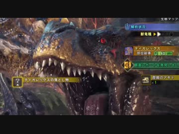 【MHWIB】我が突進厨人生に幸あれ！@導きの地vsティガレックス【無声】