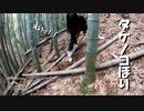 【第131回】タケノコほり体験②とお出汁作りと武器の使い方