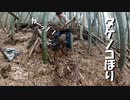 【第132回】タケノコほり体験③とほうじ茶と焼きうどん