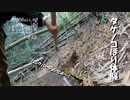 【増刊号】#45 タケノコほり体験（ロングバージョン）