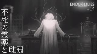 【実況】蝕む穢れに白き光の安寧を part 14 【ENDER LILIES】