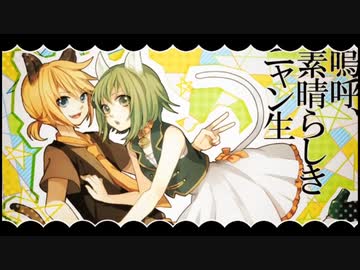 【；＿；】嗚呼、素晴らしきニャン生 /歌ってみた【斉藤れいか】