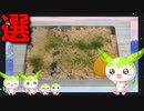 【VOICEVOX ずんだもん】  料理動画選!! 特売のタコを使ったタコ飯の「お弁当」を作るのだ!!