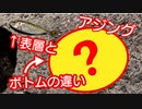 【アジング】表層とボトムの違いを検証してみました