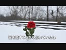 果てしない空に虹の花が咲く頃  / 宮本浩（TRICKHOUSE）