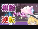 メタモンで相手の準伝とかをパクりた～いの巻