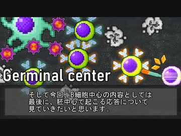 【ゆっくり解説】胚中心での反応