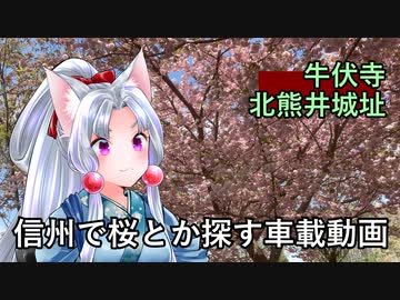 【VOICEROID車載】遅めの春っぽい車載動画を撮りたくて標高をあげていく東北イタコと四国めたん【VOICEVOX車載】