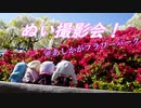 【第三回10秒動画祭】あしかがフラワーパークぬい撮影会レポート